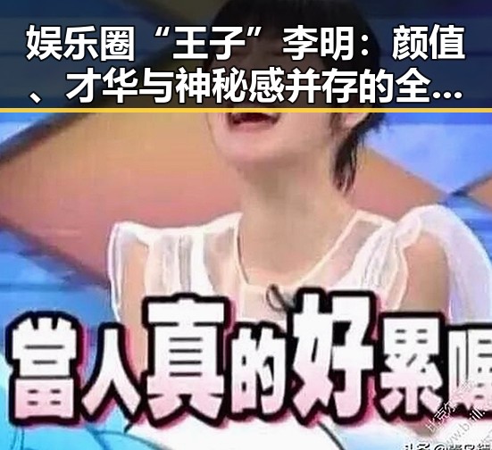 娱乐圈“王子”李明:颜值、才华与神秘感并存的全能偶像