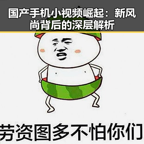 国产手机小视频崛起:新风尚背后的深层解析