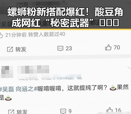 螺蛳粉新搭配爆红！酸豆角成网红“秘密武器”🍜🌶️