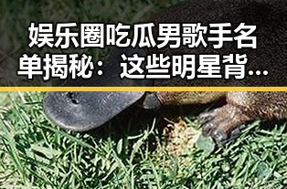 娱乐圈吃瓜男歌手名单揭秘：这些明星背后隐藏的故事引发热议